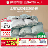 罗莱家纺 羽绒被 A类95%水洗鹅绒被子保暖冬被芯 约5.2斤绿