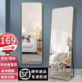 初学者 穿衣镜 全身落地镜试衣镜家用防爆壁挂衣帽间铝合金网红大镜子 香槟金180*80【壁挂+落地】