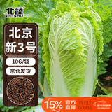 北蔬 北京新三号白菜种子苗冬春季种耐寒蔬菜种籽 北京新三号种子10g