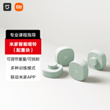 米家（MIJIA）小米智能哑铃 配重块 雾青色 0.5kg*4 居家健身房运动健身推荐