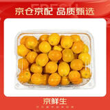 京鲜生 云南油皮金桔/金橘 净重1斤 单果12g起  生鲜水果
