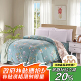 艾薇 A类被套单件被罩纯棉温馨磨毛全棉双人被套220*240cm  清馨花园