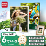 天章 （TANGO）新绿天章 6寸相纸230g 高光相片纸 风景照照相纸 宣传单页打印纸 6寸喷墨照片图文打印纸 20张/包