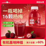 扬百利仙居杨梅汁饮品果蔬汁孕妇饮料245ml*6瓶冰镇果汁整箱冰饮