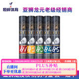 亚狮龙（RSL） 亚狮龙RSL羽毛球大桐利DTL 81、82、 83、 84、85耐打比赛练习球 DTL-84球  1筒 77速