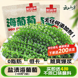 云山半盐渍海葡萄100g*2即食儿童凉拌菜鱼子酱火锅商家用赠4种蘸料海藻