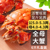 乾澄【活蟹】乾澄大闸蟹现货 公蟹5.0两母蟹4.0两 6只3对 鲜活螃蟹海鲜年货礼盒源头直发