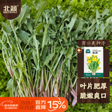 北蔬 蒲公英种子食用野菜野生婆婆丁四季蔬菜种籽 蒲公英种子约3000粒