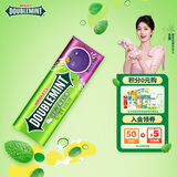 绿箭 无糖薄荷糖 黑加仑子味23.8g约35粒/瓶 休闲零食糖果 口气清新糖