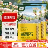 尚洋碳球陶粒3L*2盆栽花盆垫底拌土回填养花无土栽培基质颗粒铺面石