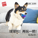 贵为（GiGwi）狗狗玩具耐咬弹力球发声磨牙自嗨解闷宠物玩具边牧玩具金毛柯基 【大号】透明球