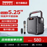 特美声（TEMEISHENG） SL06-26广场舞户外便携音响家用移动K歌手提蓝牙低音小型音箱 5.25寸标配+1支无线话筒+大礼包 (赠送好礼)