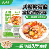 云山半金桔盐焗盐粗盐调味料880g 盐焗海鲜虾蟹香辛料包腌制调料大粒盐