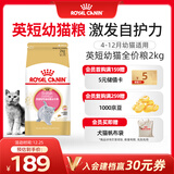 皇家猫粮 英短幼猫粮 BSK38 通用粮 4-12月 2KG
