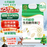 十月稻田 25年新米 生态胚芽米 90%留胚 5斤(营养辅食 儿童粥米 东北大米)