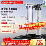 爱惠浦（Everpure） 家用矿物质厨下净水器 大流量0废水直饮 1.8L/分钟3500L处理量 EF-900P Plus