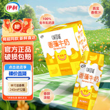 伊利年货节送礼1月产味可滋巧克力香蕉240ml*12盒整箱装早餐牛奶饮品 【10月产】香蕉味240ml*12盒
