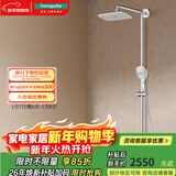 汉斯格雅（Hansgrohe） 双飞雨淋浴恒温花洒大顶喷浴缸龙头花洒套装 26777007
