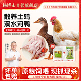 杨博士皖南散养鸡鸭组合 净重3.6斤 老母鸡老鸭土鸡源头直发