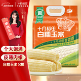 十月稻田 白糯玉米 8根 4.16斤 东北甜粘玉米 非转基因 低脂早餐