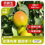 京鲜生安徽砀山红香酥冰糖梨 3斤装 单果130g+ 生鲜水果源头直发
