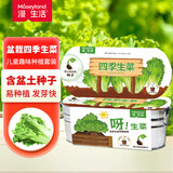 漫生活盆栽四季生菜种子儿童植物小盆景桌面绿植盆栽蔬菜种子带土带盆