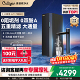 康丽根净水器1100G厨下净水机加热直饮机一体机反渗透0阻垢剂 小黑龙T2800温水流速2.8L/min