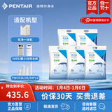 滨特尔（pentair） 滨润软水机高纯度高效通用软水盐离子交换树脂再生剂 5袋盐共50kg