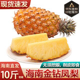 译优农正宗海南金钻凤梨新鲜热带水果当季香水金菠萝手撕小菠萝金凤梨 带箱9.5-10斤【实惠装】海南直发