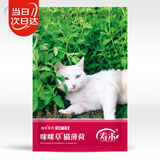 寿禾 猫薄荷种子苗盆栽猫零食香草种籽 咪咪草猫薄荷种子约1500粒*4袋