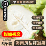 【顺丰陆/空运】海南牛奶凤梨释迦果 水果新鲜佛头冰淇淋番荔枝 【大果】5斤礼盒装（4-6枚）|顺丰空运 现货