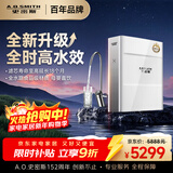 史密斯（A.O.SMITH）净水器家用AI-LiNK家用厨下直饮净水机净饮机 厨下式直饮净水机净饮机 R2000FWi-EE 