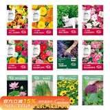 寿禾 花种子大全四季易活小麦草太阳花碗莲向日葵 12种花种子花草套餐
