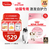 皇家幼猫猫粮 幼猫奶糕 K36 通用粮 4-12月 10KG