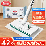 美丽雅洗脸巾拖把16cm迷你懒人擦玻璃除尘自动夹布+地板湿巾1包