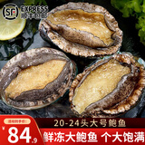 鲜拔头筹 青岛鲜活大鲍鱼海捕 大号鲍鱼鲜活冷冻生鲜贝类火锅烧烤特大鲍鱼 活冻大鲍鱼 1000g净重 共20-24头
