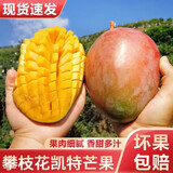 庾丰 芒果当季新鲜水果孕妇热带青皮芒果 大青芒树上现摘 需催熟 10斤装（净果8.5-9斤）优选果 甄选品质 京鲜直采