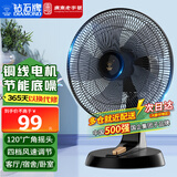 钻石牌（DIAMOND）电风扇台扇家用台式桌面风扇大风力宿舍办公室卧室电扇客厅落地扇节能轻音学生摇头 FT-30-A五叶铜线（12寸）四档