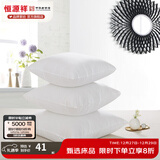 恒源祥纯棉抱枕芯纯色靠枕芯沙发靠垫内胆40 45 50 55 60婚庆靠枕芯腰枕 白色(一对) 50cm*50cm 含枕芯