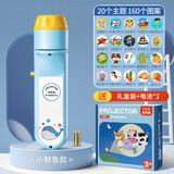 漫叮熊儿童手电筒投影仪女孩男孩早教发光玩具宝宝故事机趣味图案星空灯 小鲸鱼【20套主题 160个图案】