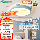 雷士（NVC）LED照明吸顶灯儿童氛围卧室灯创意可爱卡通简约-龙猫蓝色