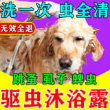 天望狗狗专用沐浴露驱虫止痒除臭狗洗澡清洁蜱虫跳蚤洗护抑菌持久留香 一瓶装【洗一次就见效】