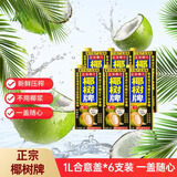 椰树牌椰汁 1L*6盒 合意盖 植物蛋白饮料 正宗海南特产