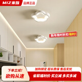 米族阳台走廊过道灯2025新款玄关入户门厅灯简约现代衣帽间护眼吸顶灯 F款 白色【20CM】三色
