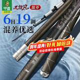 中逵黑旋风轻量大物竿鲢鳙翘嘴钓鱼竿超轻硬黑坑野钓综合竿鱼竿手竿 4.5m 6H19调轻量大物竿