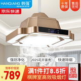 韩强麻将灯棋牌室空气吸烟净化器遥控自动升降吊灯智能家居净化灯 【2025款】大吸力高亮度_香槟金