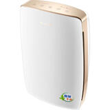 格力（GREE）【热销10年爆款】除湿机抽湿机家用20升/天卧室除潮防霉除湿器干燥器干衣机智能控湿 20L/天 20-40㎡ 智能控湿一键干衣