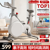 英尔健家用动感单车智能磁控静音运动减肥健身器材室内脚踏车健身单车 [进阶款]物理阻力/蓝牙对战/踏频监测/14斤全包飞轮组