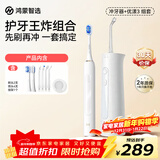 华为智选鸿蒙智选力博得电动牙刷+冲牙器 口腔护理清洁套装 白色