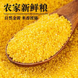 康田汇 陕西黄小米新米农家精品糯小米宝宝辅食五谷杂粮优质粘米 精选1斤【严选装】 新鲜